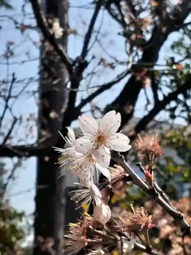 三軒地稲荷神社の自然