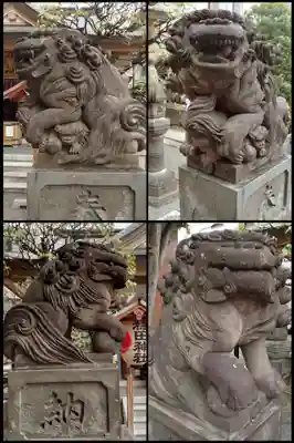 穏田神社の狛犬