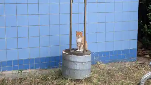 聖天神社（聖天上人像社）の動物