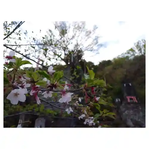 岐阜稲荷山本社(岐阜県)