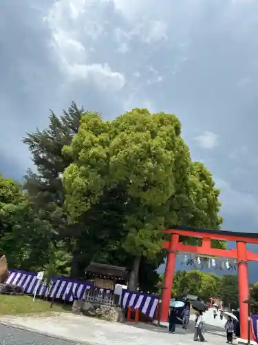 賀茂別雷神社（上賀茂神社）の{uncategorized: "未分類", other: "その他", undefined: "問題あり", building: "その他建物", grave: "お墓", sacred_gate: "鳥居", guardian: "狛犬", statue: "像", buddha: "仏像", history: "歴史", nature: "自然", garden: "庭園", animal: "動物", pagoda: "塔", temizu: "手水舎", mountain_gate: "山門・神門", sanctuary: "本殿・本堂", subordinate: "末社・摂社", art: "芸術", scenery: "景色", jizo: "地蔵", ema: "絵馬", goshuin: "御朱印", omikuji: "おみくじ", items: "授与品その他", amulet: "お守り", goshuincho: "御朱印帳", eats: "食事", festival: "お祭り", votive_dance: "神楽", shichigosan: "七五三参", wedding: "結婚式", experience: "体験その他", initially: "初詣", around: "周辺", anti_infection: "感染症対策"}