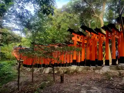 伏見稲荷大社(京都府)