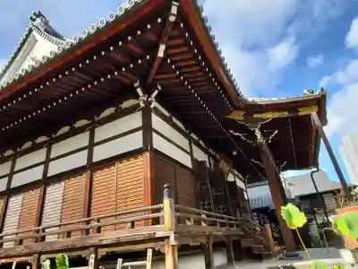 善導寺の本殿・本堂