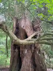 伊佐須美神社(福島県)