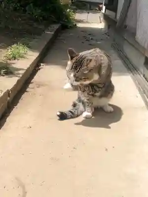 天麟院(宮城県)