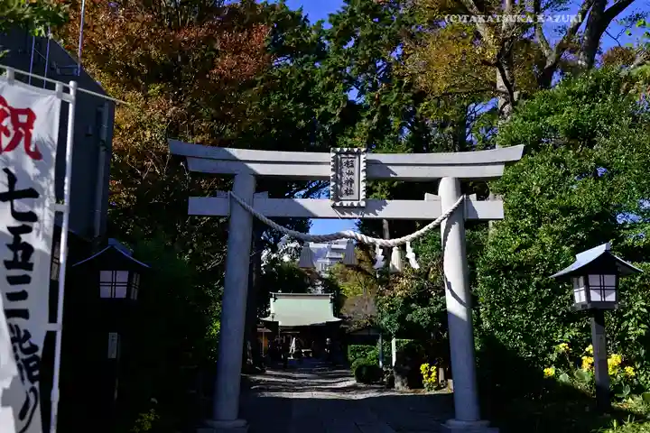 星川杉山神社(神奈川県)