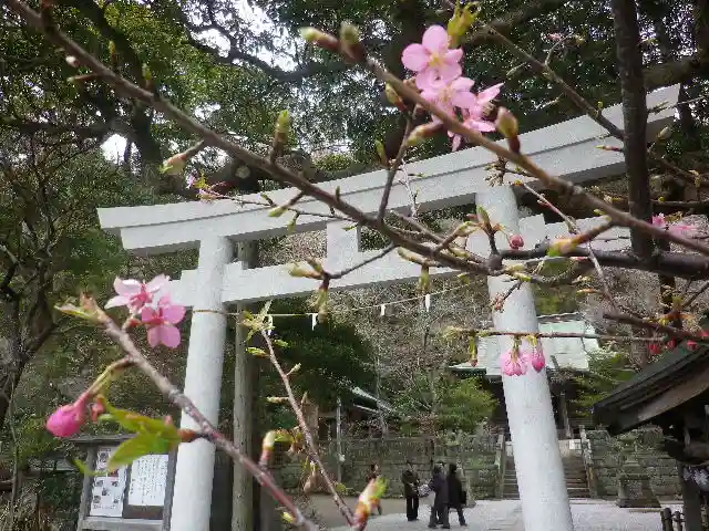 御霊神社の鳥居