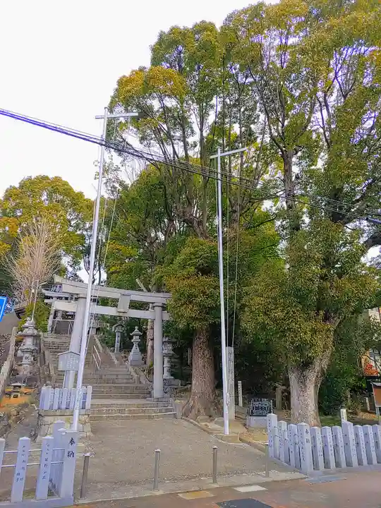 西八幡社の自然