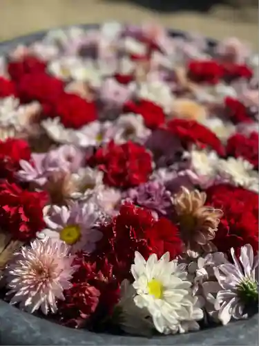 埼玉厄除け開運大師・龍泉寺（切り絵御朱印発祥の寺）(埼玉県)