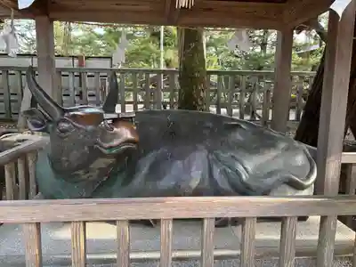 出雲大社(島根県)