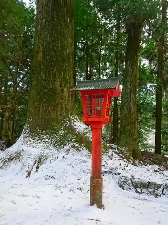 箱根神社の御朱印