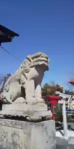大鏑神社の狛犬(2020年03月08日(日) 14時02分18秒投稿)