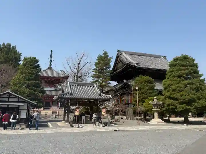 知恩院の{uncategorized: "未分類", other: "その他", undefined: "問題あり", building: "その他建物", grave: "お墓", sacred_gate: "鳥居", guardian: "狛犬", statue: "像", buddha: "仏像", history: "歴史", nature: "自然", garden: "庭園", animal: "動物", pagoda: "塔", temizu: "手水舎", mountain_gate: "山門・神門", sanctuary: "本殿・本堂", subordinate: "末社・摂社", art: "芸術", scenery: "景色", jizo: "地蔵", ema: "絵馬", goshuin: "御朱印", omikuji: "おみくじ", items: "授与品その他", amulet: "お守り", goshuincho: "御朱印帳", eats: "食事", festival: "お祭り", votive_dance: "神楽", shichigosan: "七五三参", wedding: "結婚式", experience: "体験その他", initially: "初詣", around: "周辺", anti_infection: "感染症対策"}