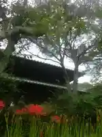 英勝寺のその他建物