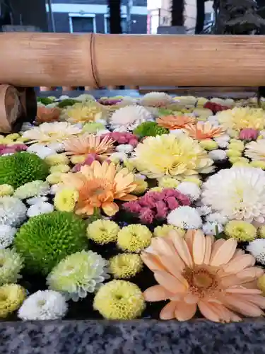 高円寺氷川神社の手水