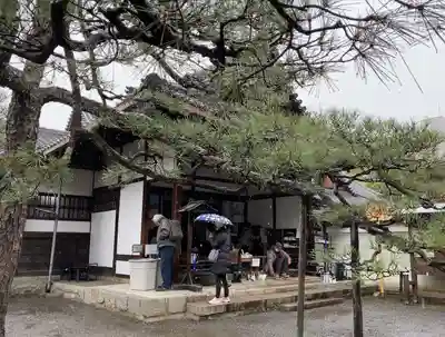 廬山寺(廬山天台講寺)(京都府)