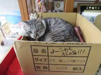 行願寺（革堂）(京都府)