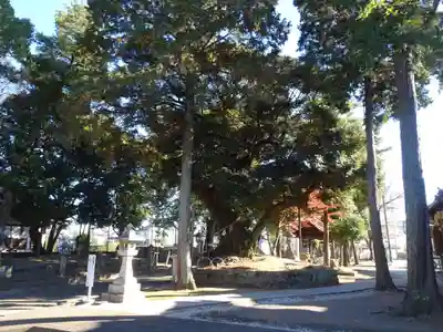 豊川進雄神社(愛知県)