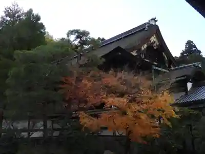 御寺 泉涌寺(京都府)