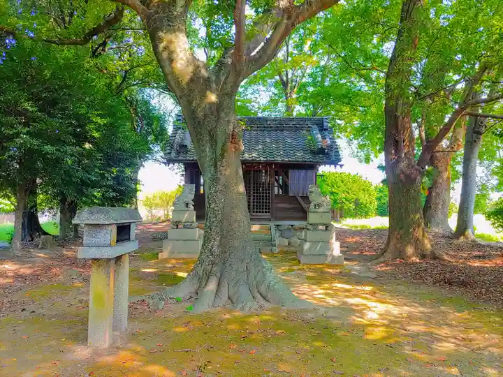 熱田社(西溝口)の自然
