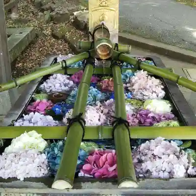 唐澤山神社の手水舎