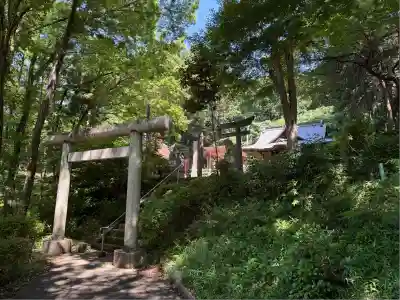 堀口天満天神社(埼玉県)