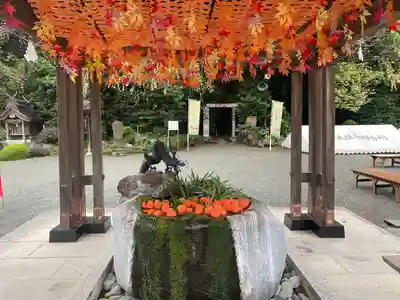出雲大社相模分祠(神奈川県)