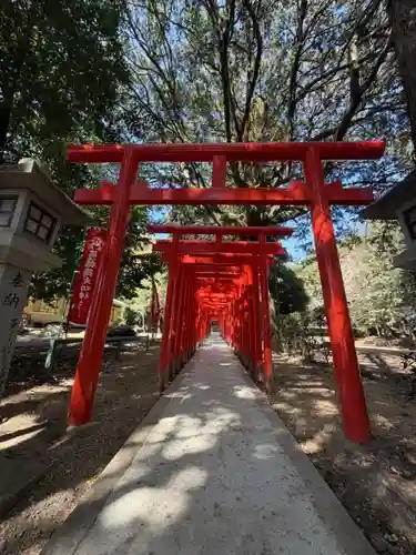 手力雄神社(岐阜県)