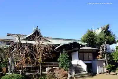 桜神宮の本殿・本堂