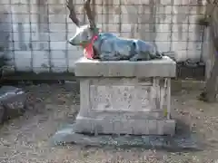 茶町天満宮の狛犬