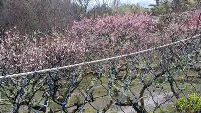 正法寺(京都府)