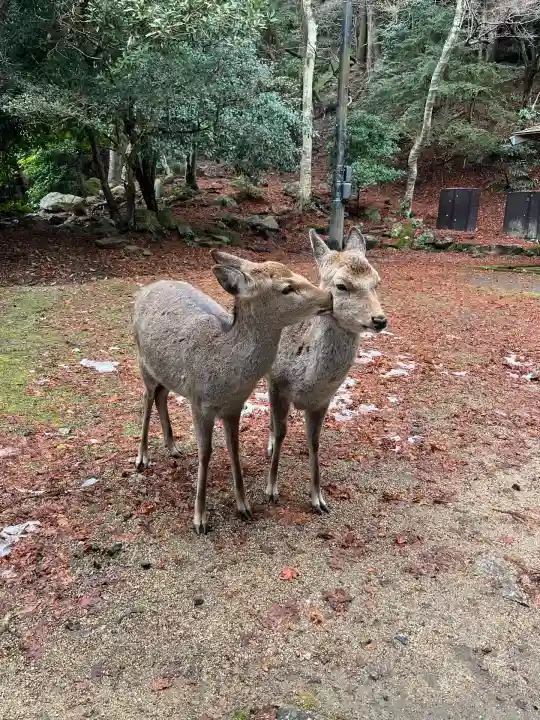 大聖院(広島県)