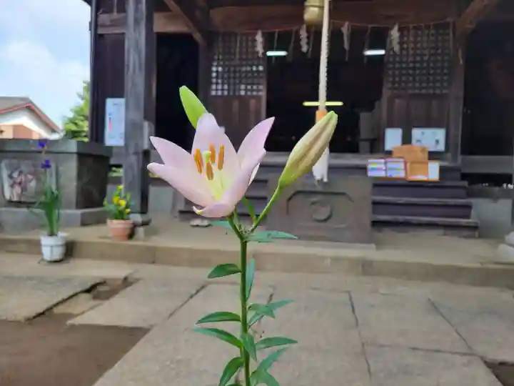 伏木香取神社(茨城県)