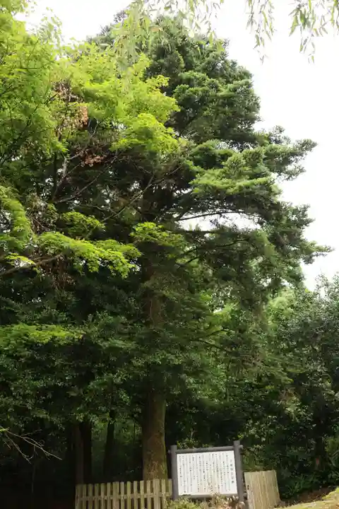 三尾神社 旧跡(滋賀県)