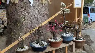 豊中えびす神社（豊中戎神社）(大阪府)