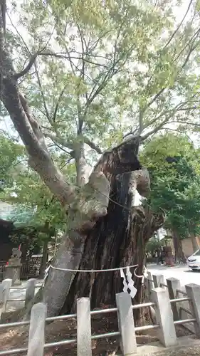 阿邪訶根神社(福島県)