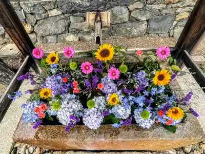 興聖寺（興聖寶林禅寺）の手水舎