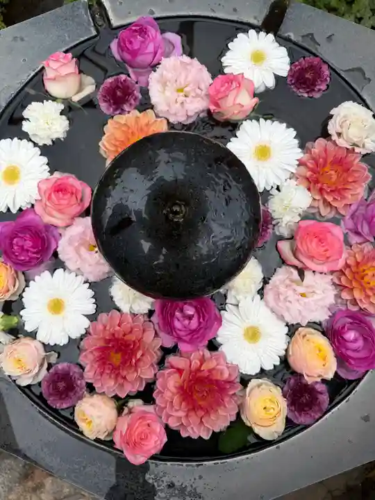 神楽坂安養寺(東京都)