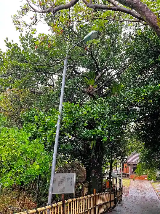 金武観音寺のその他建物