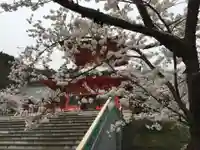 善光寺の自然