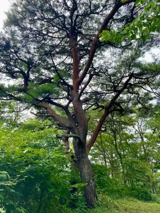 麓山神社(福島県)