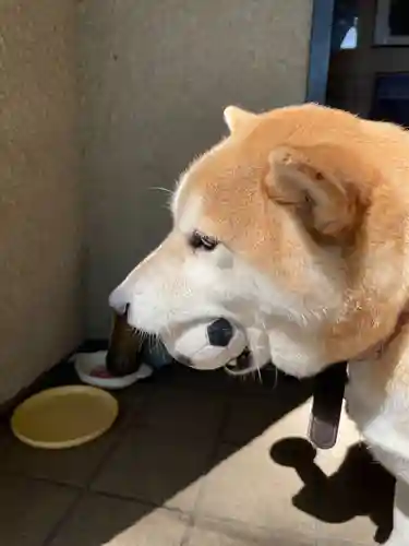 笠䅣稲荷神社(神奈川県)