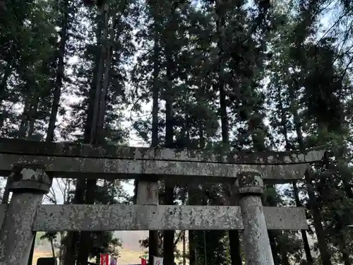 大宮温泉神社の鳥居