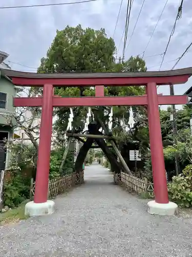 荏柄天神社の鳥居