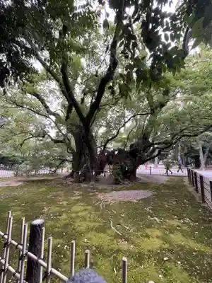 浜松八幡宮(静岡県)