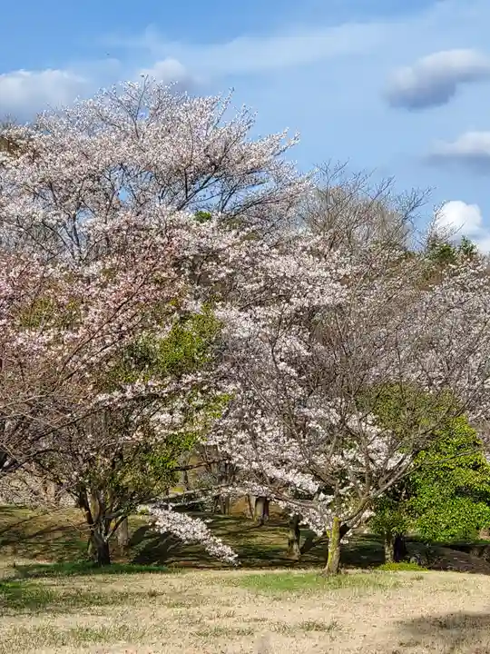 磯部稲村神社の景色