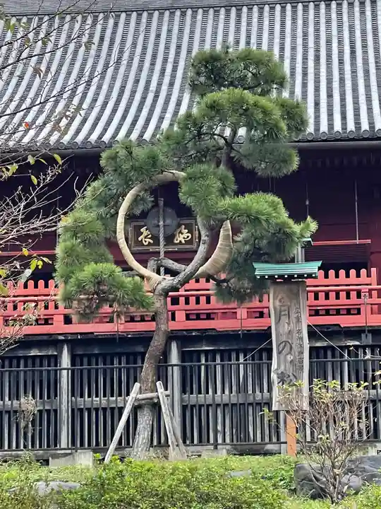 清水観音堂の庭園