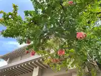 福王山 慈眼寺の自然