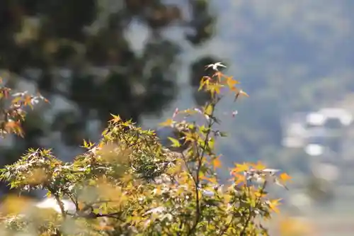 国宝 大法寺(長野県)