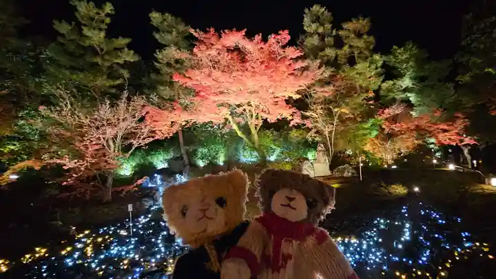 宝厳院(京都府)